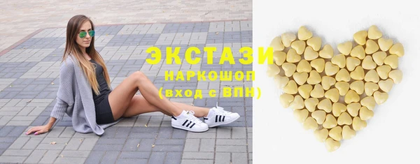 ECSTASY Гусь-Хрустальный
