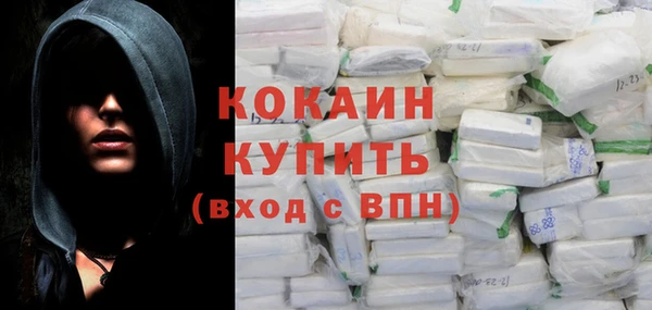 эйфоретик Гусев