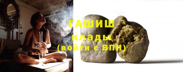 индика Коряжма