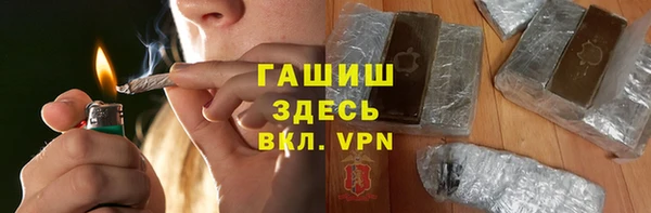ECSTASY Гусь-Хрустальный