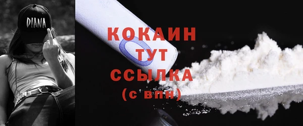 эйфоретик Гусев