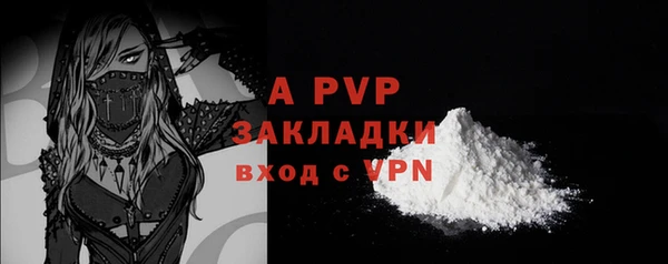 эйфоретик Гусев