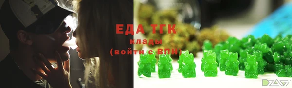 эйфоретик Гусев