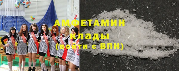 ECSTASY Гусь-Хрустальный