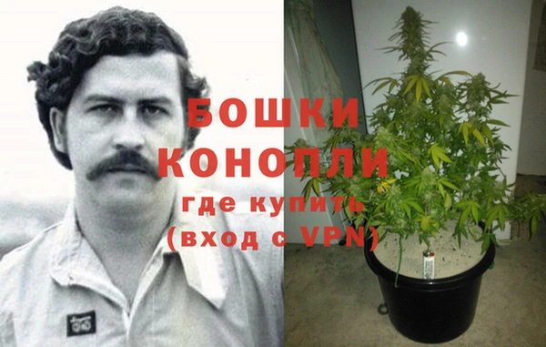 эйфоретик Гусев