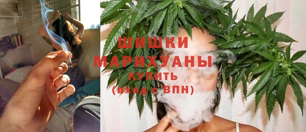 ECSTASY Гусь-Хрустальный
