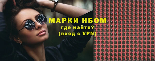 ECSTASY Гусь-Хрустальный