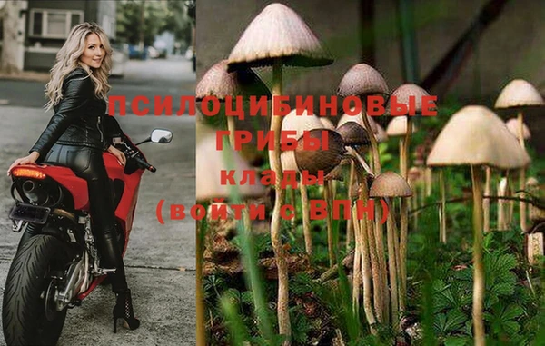 эйфоретик Гусев