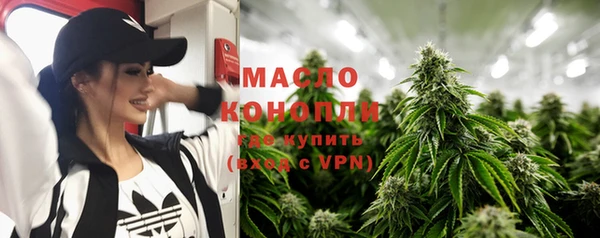 ECSTASY Гусь-Хрустальный