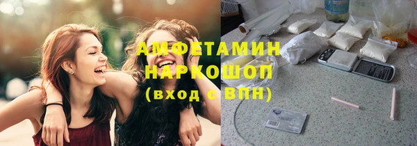 ECSTASY Гусь-Хрустальный
