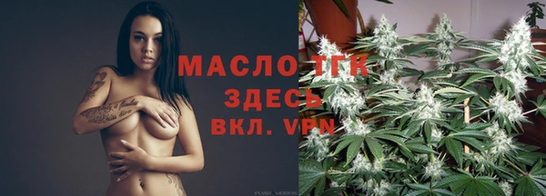 ECSTASY Гусь-Хрустальный