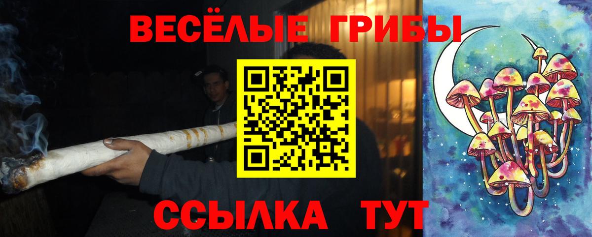 Псилоцибиновые грибы мицелий  где купить   Звенигород  Вход с VPN 